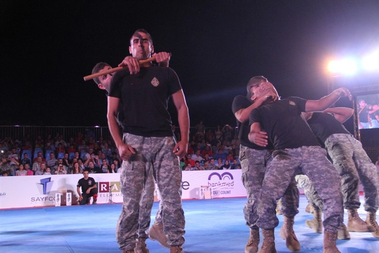 Martial Arts Festival
